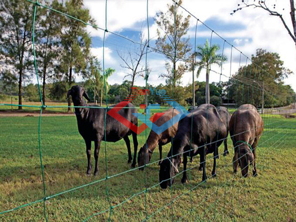 Hinge Joint Field Fence (图2) Hinge Joint Field Fence (图2)