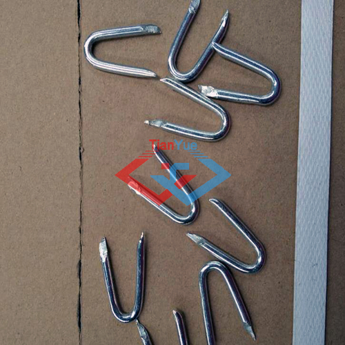 Common Nail(图6) Common Nail(图6)