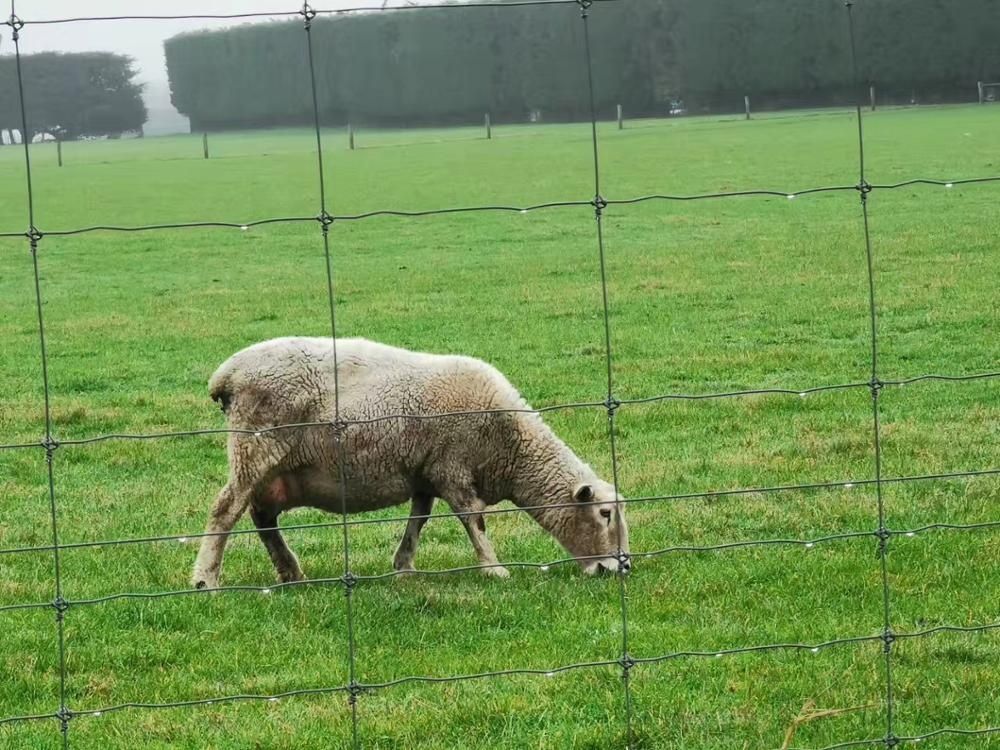 Fixed Knotted Fence