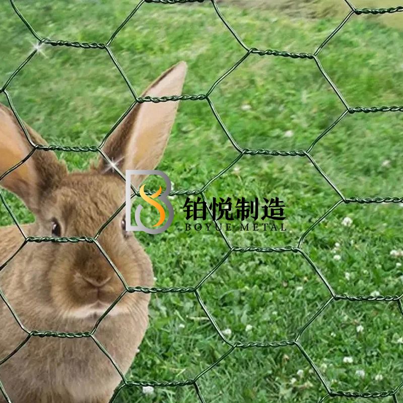 <strong>PVC Coated Hexagonal Wire Mesh</strong>